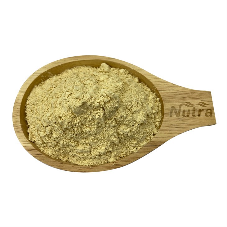 Organic Lemon Juice Powder