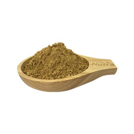 Organic Anemarrhenae Extract Powder