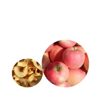 Organic Apple Rings