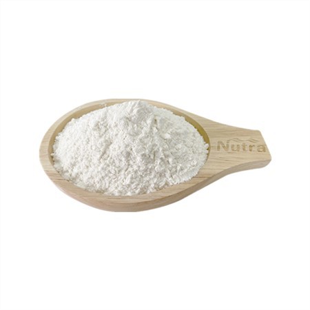 Organic Apricot Kernel Juice Powder