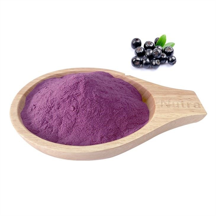 Organic Aronia Berry Powder