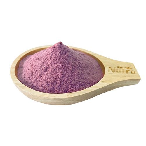 Organic Blueberry Juice Powder