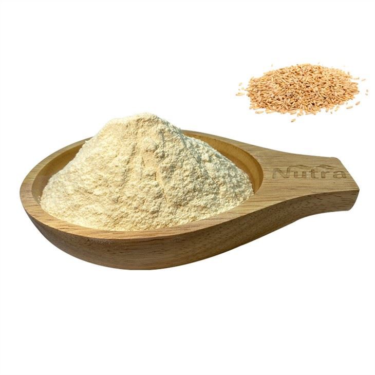 Organic Brown Rice Protein