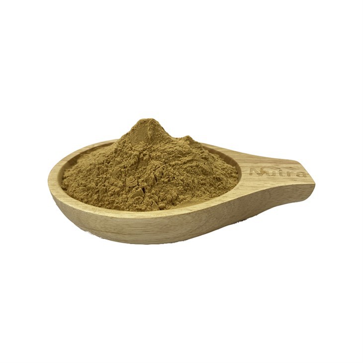 Coriolus Versicolor Extract Powder