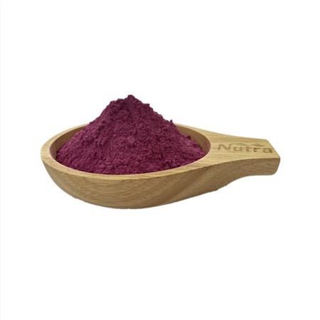 Organic Dragon Fruit Powder