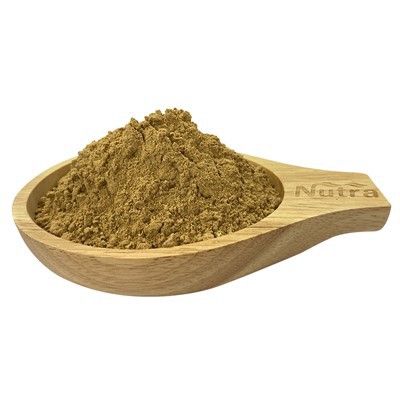 Organic Holy Basil Extract Powder