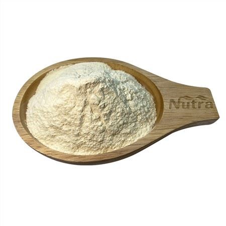 Organic Onion Powder