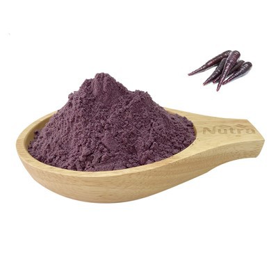 Organic Purple Carrot Powder