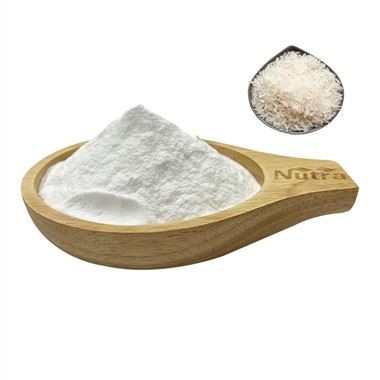 Organic Rice Milk Powder