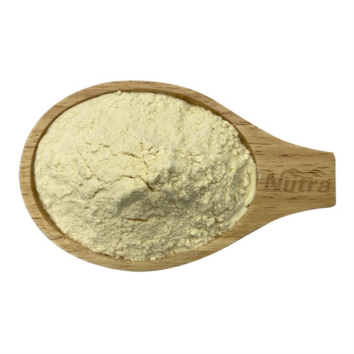 Organic Soy Protein Powder