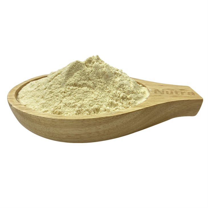 Organic Soybean Lecithin Powder