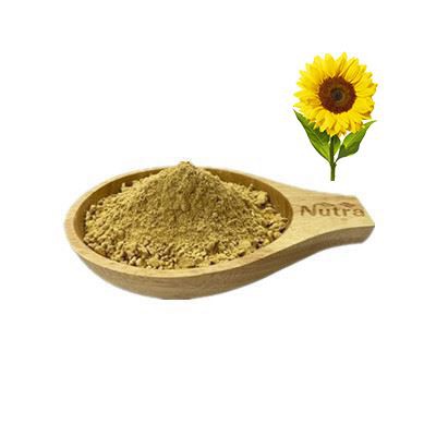 Organic Sunflower Lecithin Powder