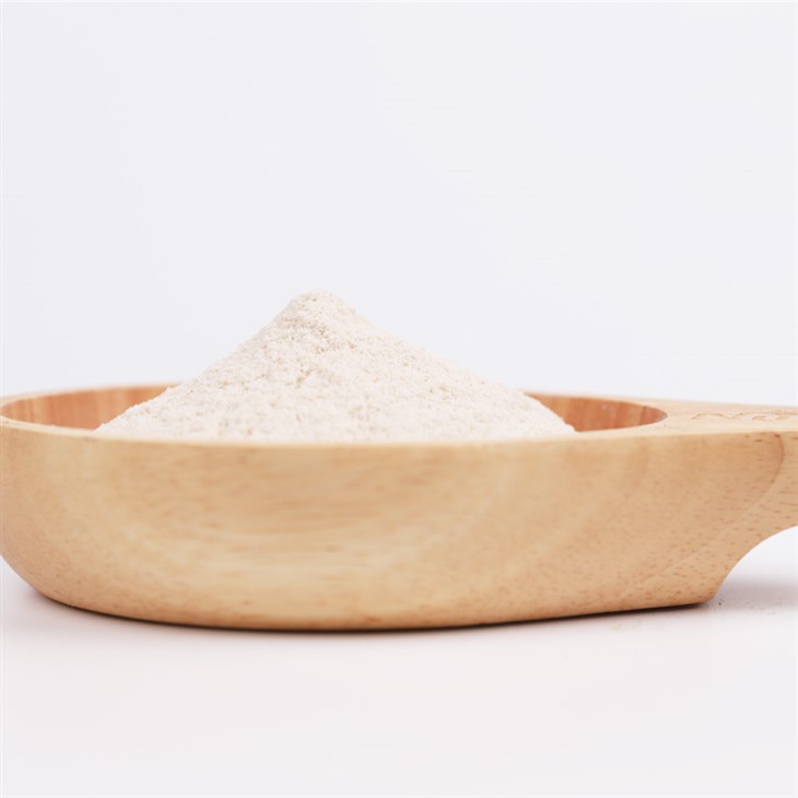 Psyllium Seed Husk Powder