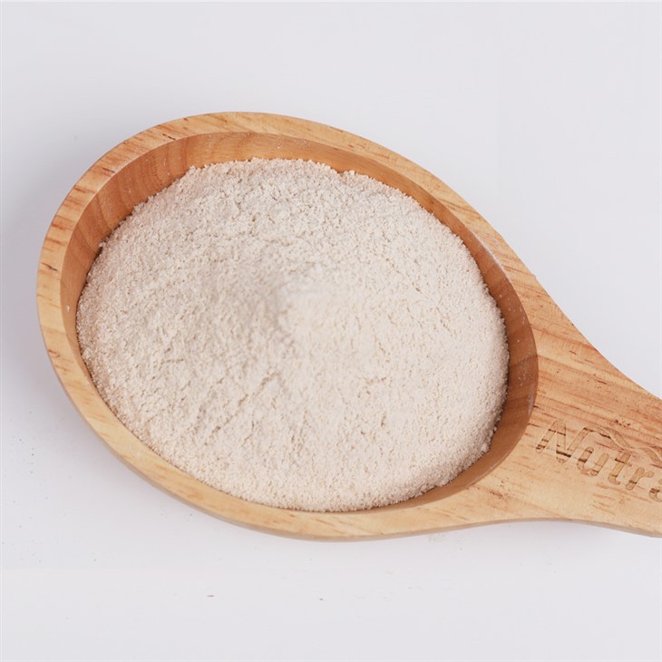 Psyllium Seed Husk Powder