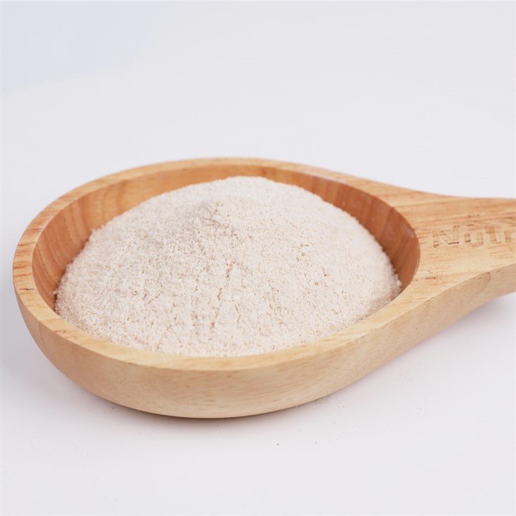 Psyllium Seed Husk Powder