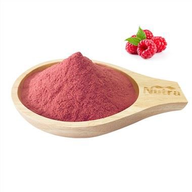 Organic Raspberry Juice Powder