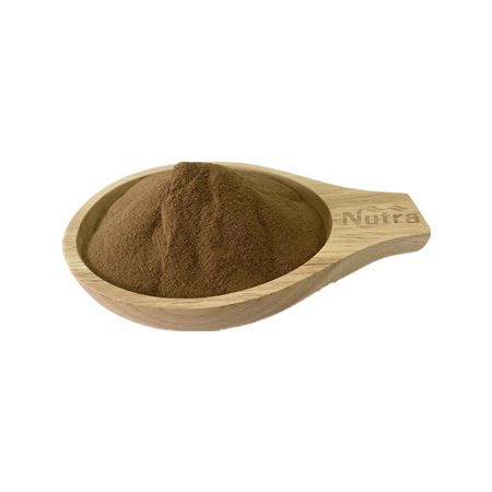 Schizonepeta Herb Extract Powder