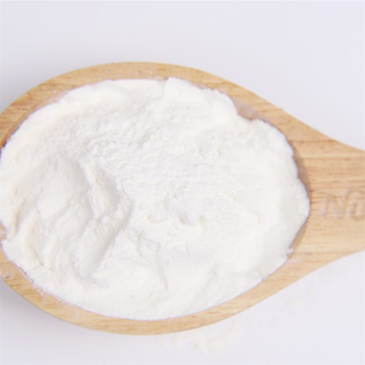 Stevia Extract Powder