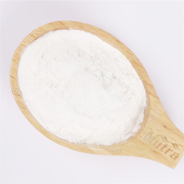 Stevia Extract Powder