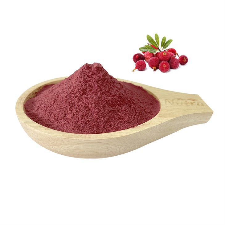 Organic Waxberry Juice Powder