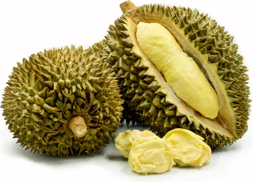 Organic Durian Extract Powder