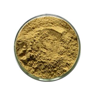 Mulberry Leaf Extract Powder