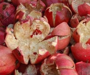 Pomegranate Bark Extract