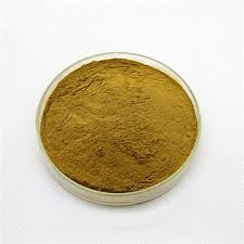 Bacopa Extract Powder 