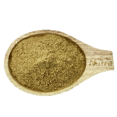 Bacopa Extract Powder