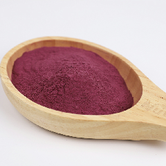 Black Elderberry Extract Powder