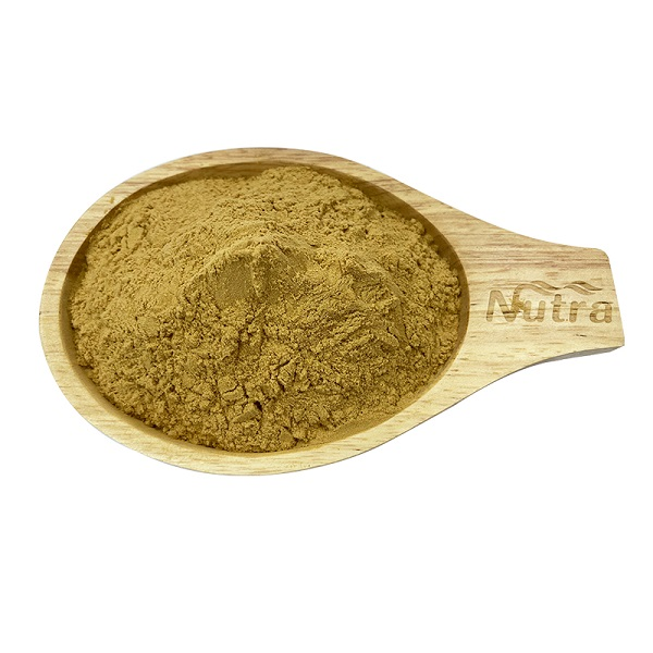 Rosemary Extract Powder