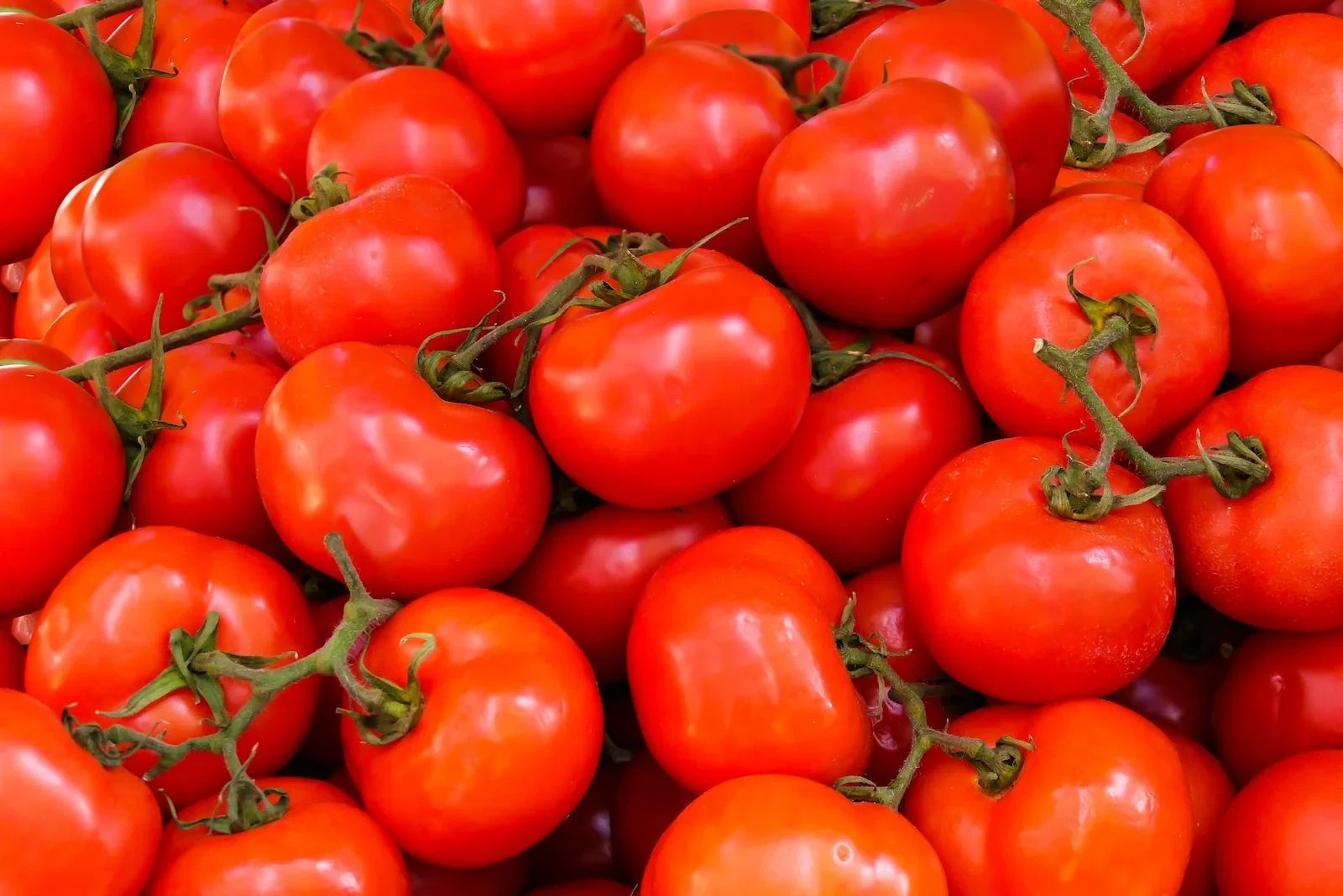 How much do you know about Organic Tomato juice Powder？